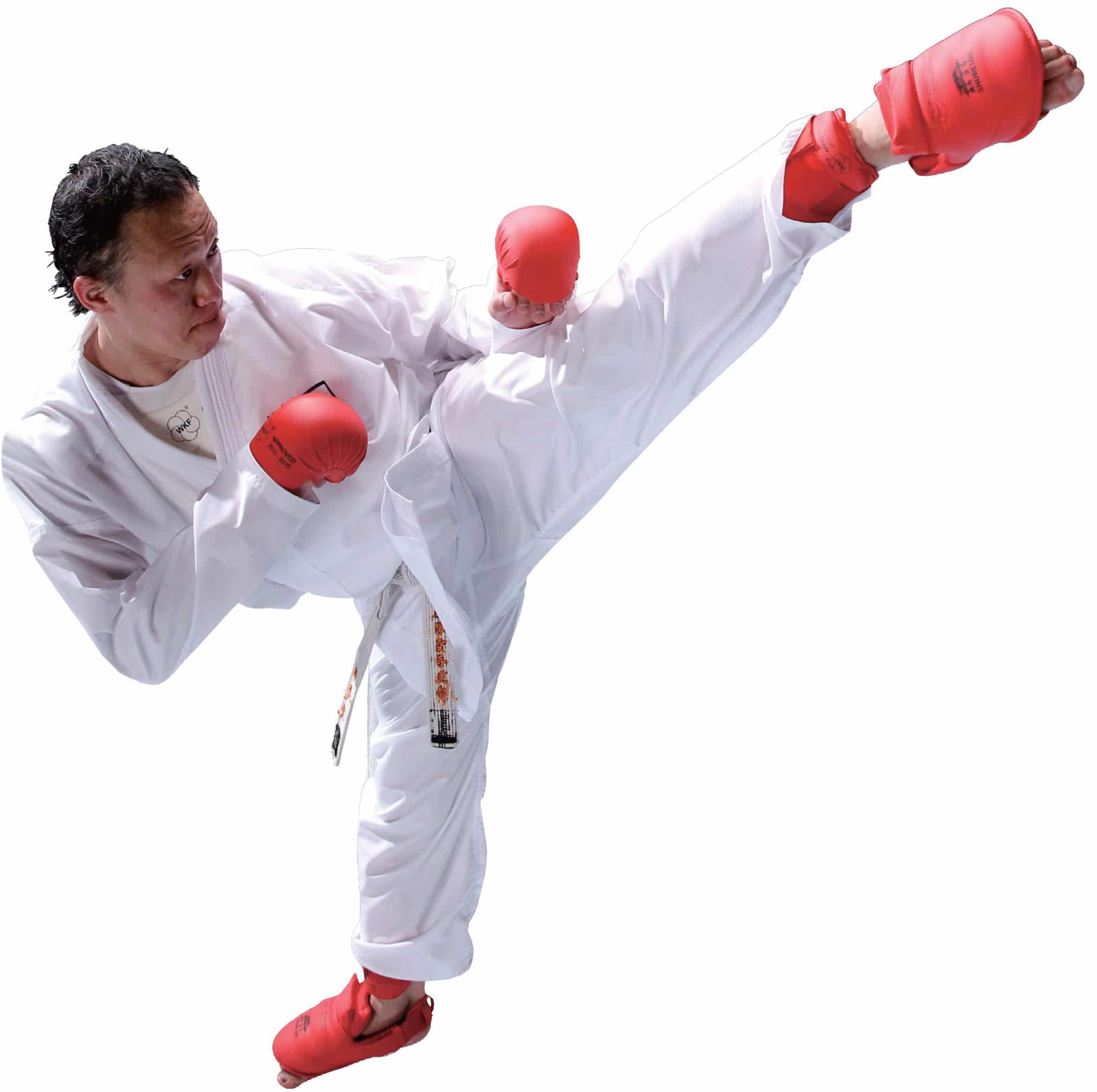 Karategi Waza - APPROVATO DALLA WKF 6 karategi