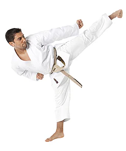 Karate-Gi Tokaido ULTIMATE - SEGA - 12 oz - Made in Japan - 185 (usato)