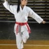 Karategi FIRST Kamikaze FIRST KATA-gangaku-kamae
