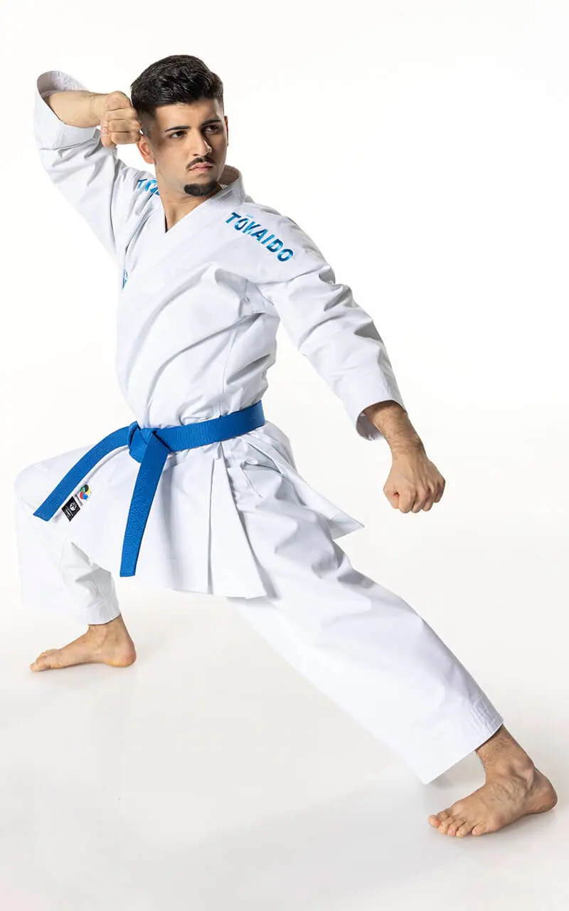Tokaido Kata Master