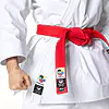 Tokaido Kata Master