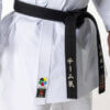 Tokaido Kata Master Sen Première League - WKF 10 Tokaido Kata Master