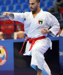 Karategi Tokaido Kata Master Tokyo