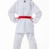 Tokaido Kumite Master