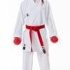 Karategi Tokaido Kumite Master Raw Premier League