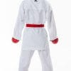 Karategi Tokaido Kumite Master Raw Premier League - WKF 11 karategi