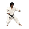 kimono-regolare
