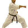 Karategi Shureido Sempai Tournament TK11 - Bianco-gyaku-tsuki