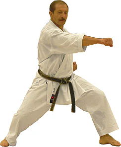 Karategi Shureido Sempai Tournament TK11 - Bianco-gyaku-tsuki