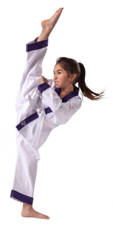 Karate-gi