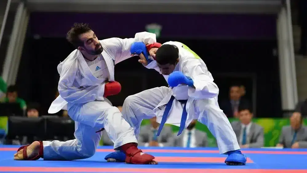 Karate-gi
