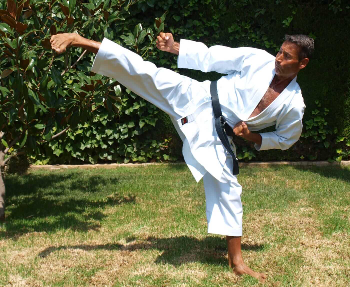 Karategi New Life Shihan - Qualità Premium 10 Kamikaze