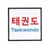toppe in velcro per borse akaido-taekwondo