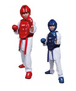 Pettorale da karate reversibile Noris