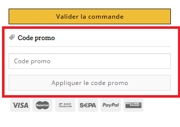 Come utilizzare un codice promozionale 2 promo