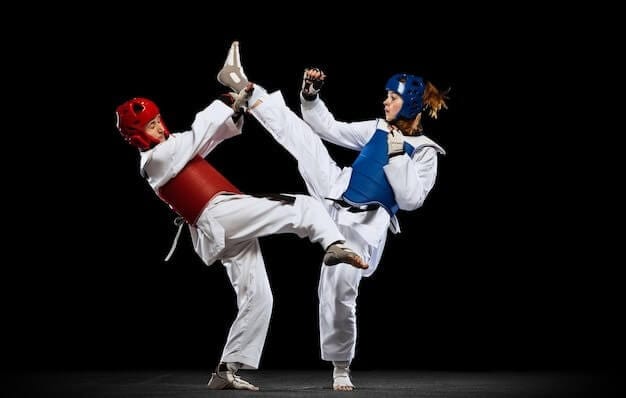 Karate-gi