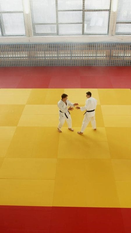 Karate-gi